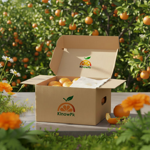 Farm Fresh Sweet Oranges